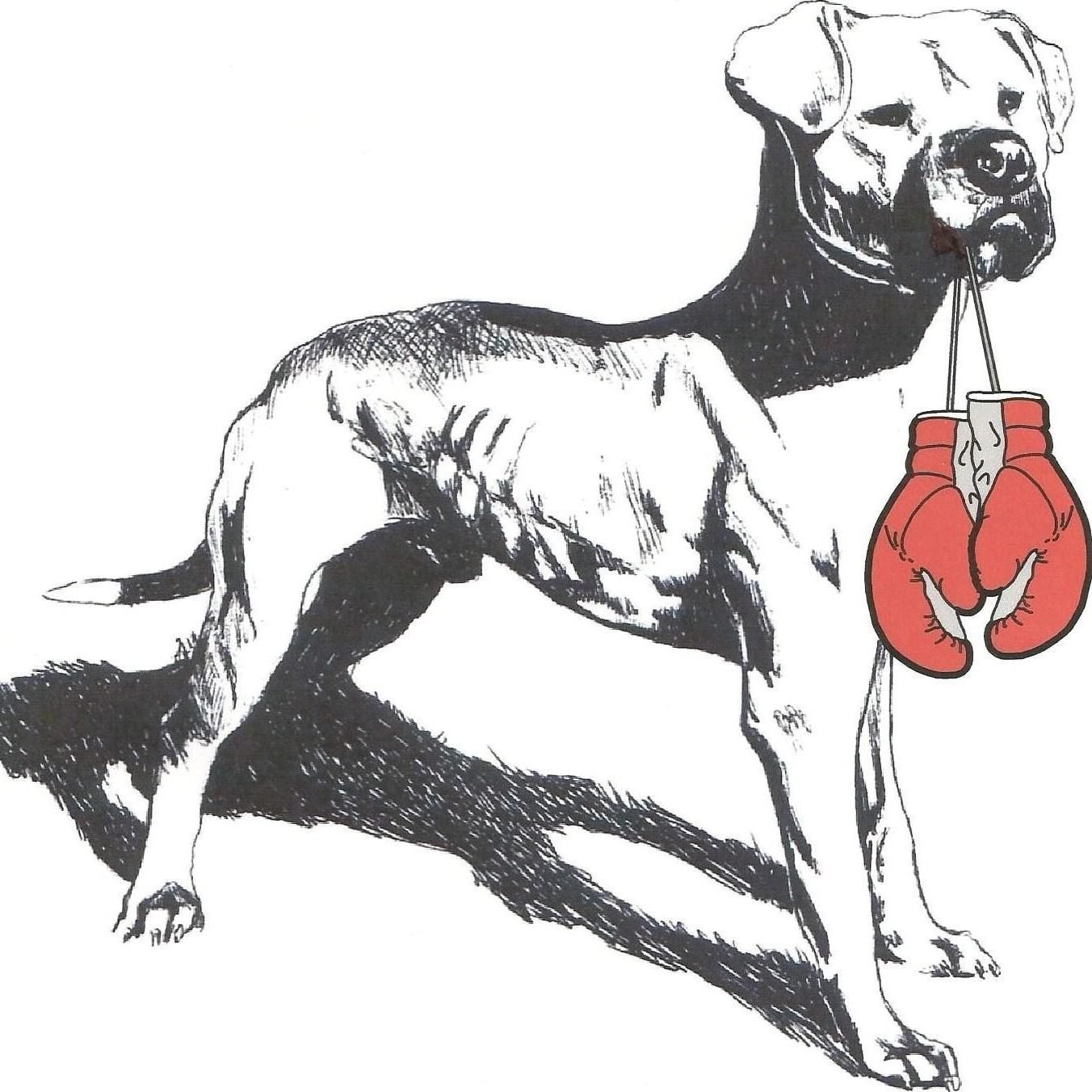 contenderenterprisesworldwide.com